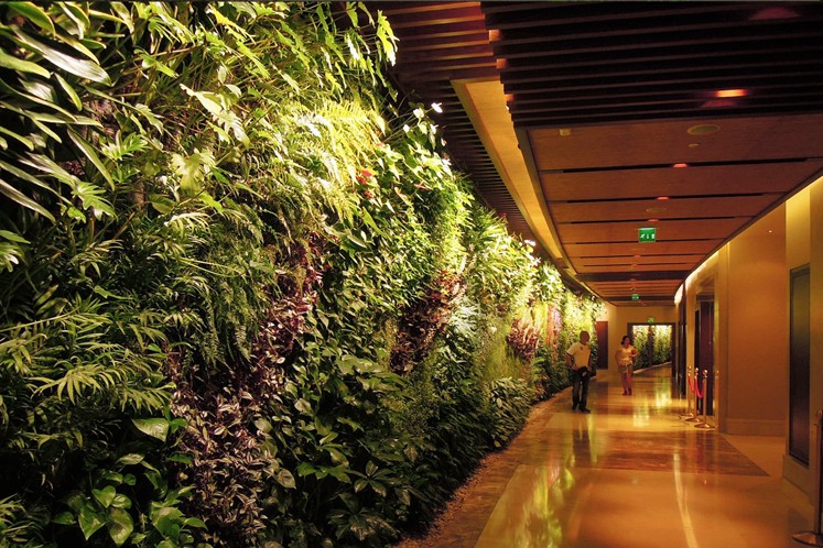 Der flächenmäßig größte vertikale Garten der Welt im Korridor des Sofitel Palm Jumeirah in Dubai. Auch ein Design des Gartenkünstlers Patric Blanc.