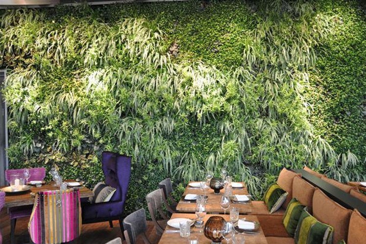 Ein weiteres asiatisches Restaurant mit üppiger, grüner Wandbepflanzung.